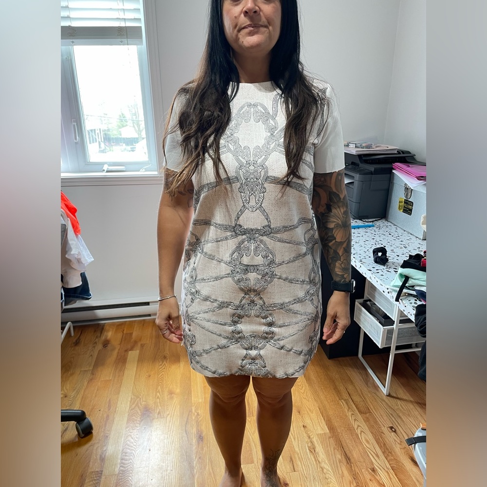 Zara dress